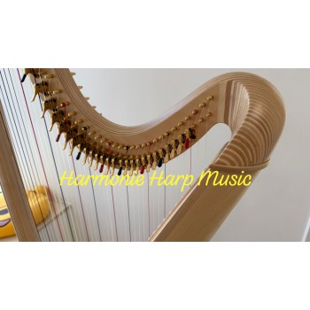 SOLD - 2nd Hand Salvi Ana Deluxe 40 strings Lever Harp SOLD - 2nd Hand Salvi Ana Deluxe 40 strings Lever Harp